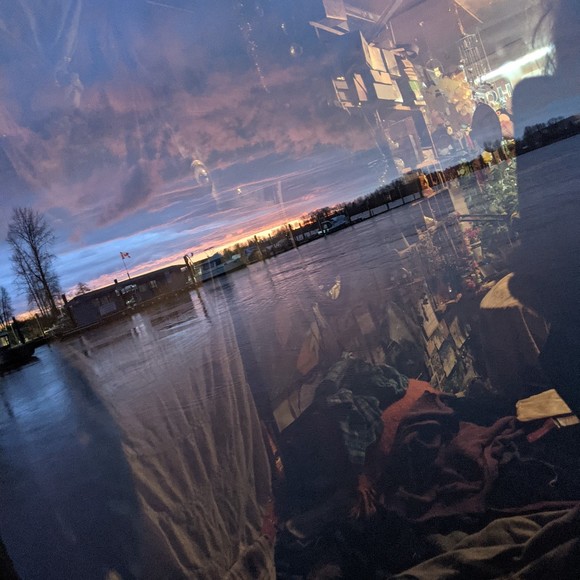 Meet your Posher, Amelia - Picture 1 of 1